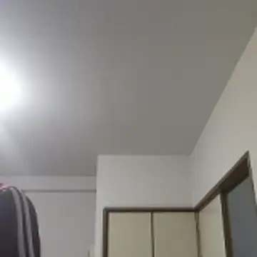 SunkLupus webcam