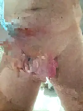 Vintermelon2 webcam