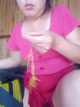 Tina-i webcam