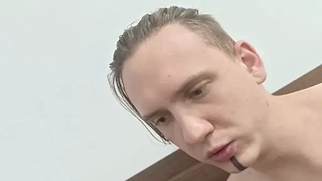Silent_Stitch webcam