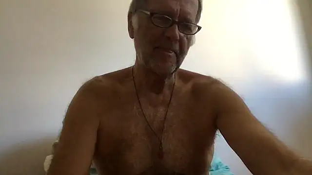 artXhibitor webcam