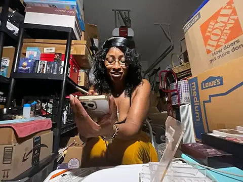 wynterheat webcam