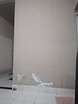 Ataujo_love webcam