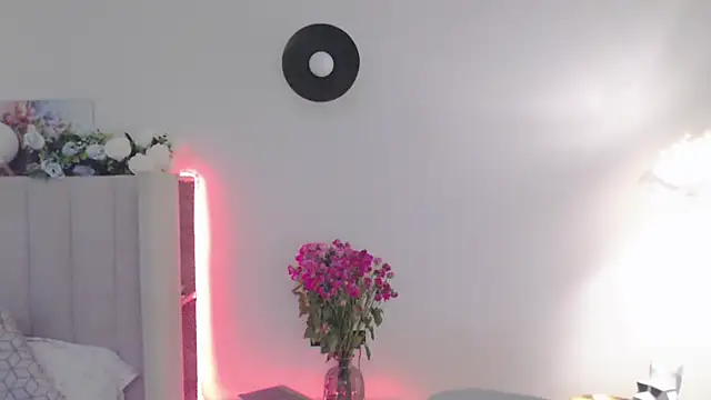 VeliaSai webcam