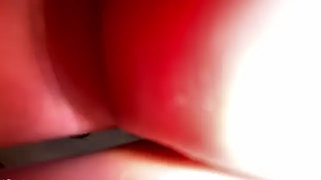 drkbthanie webcam