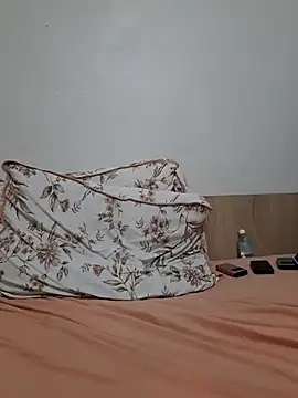 Camilegaucha's room