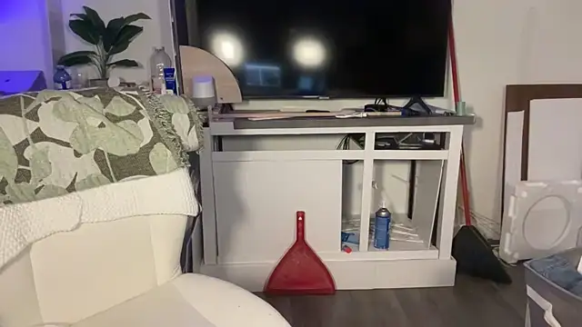 DylanBrook webcam