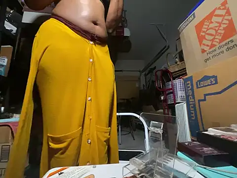 wynterheat webcam