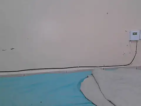 FANCY-CLARA webcam