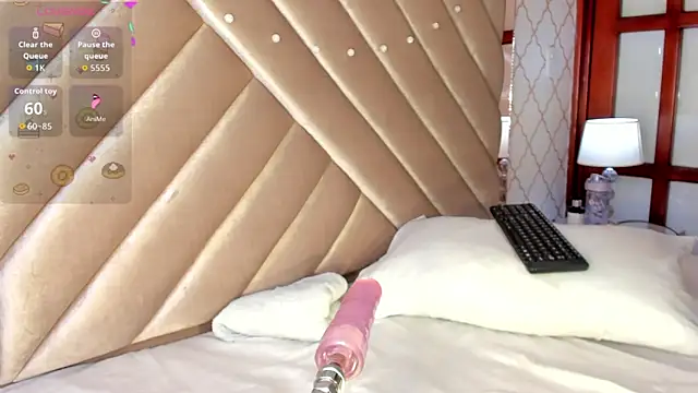 KaelSoft_ webcam