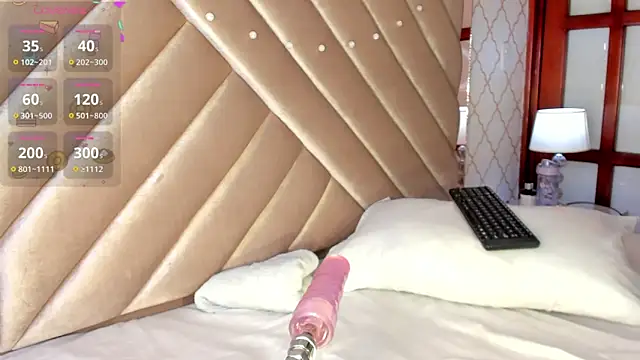 KaelSoft_ webcam