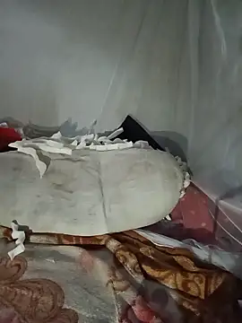 Hoa-tuylip webcam
