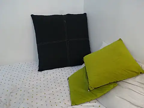 EnchantedVee webcam
