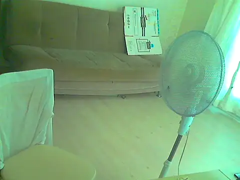 thekeys webcam