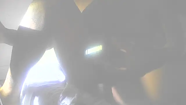 Shrimpsonspun661 webcam