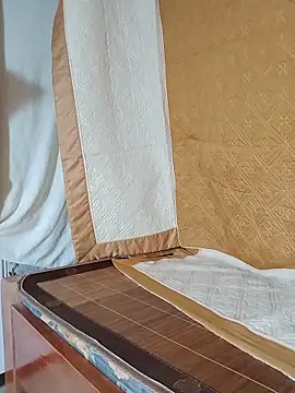 art_po19 webcam