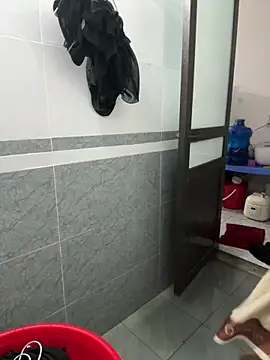 AYW-217 webcam