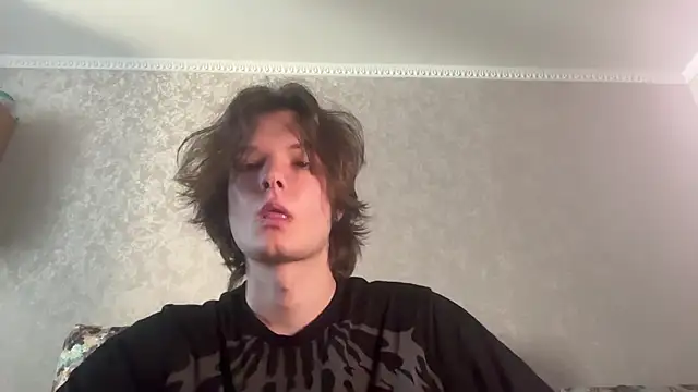 tomasdickpick webcam