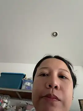 LINDA_HD webcam
