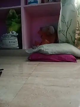 Hansikatelugu live cam