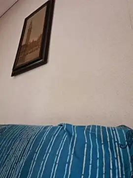 Sony28v webcam