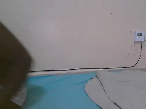 FANCY-CLARA webcam