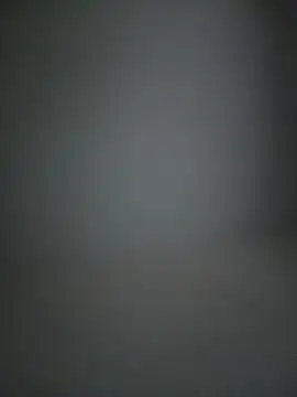 Lidia3590 webcam