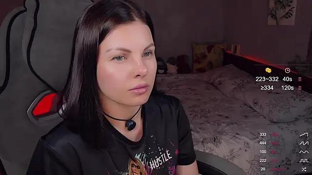 Alaska_ya webcam