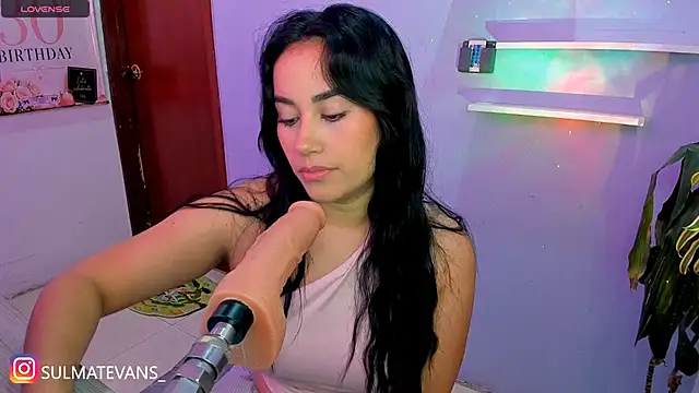 _sulmatevans_ webcam