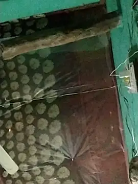 pandey_ji_ka_beta_hu webcam