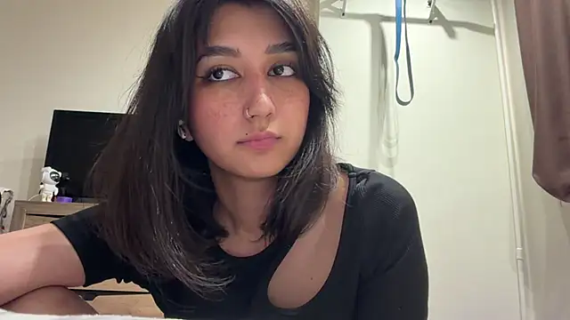 PaintedDisplay webcam