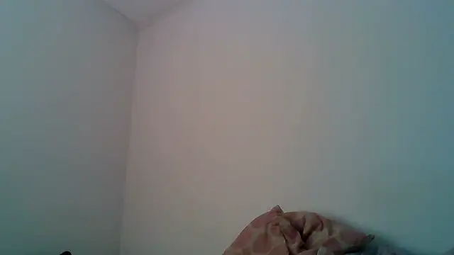 Kaappi1967 webcam