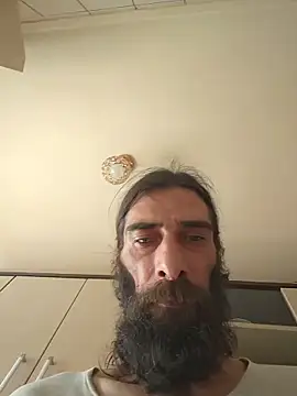 vulpe8400 webcam