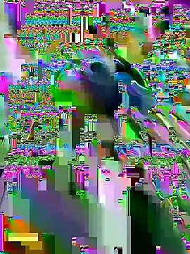AnastasiaAniess webcam