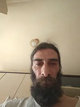 vulpe8400 webcam