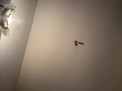 crisfootlicker