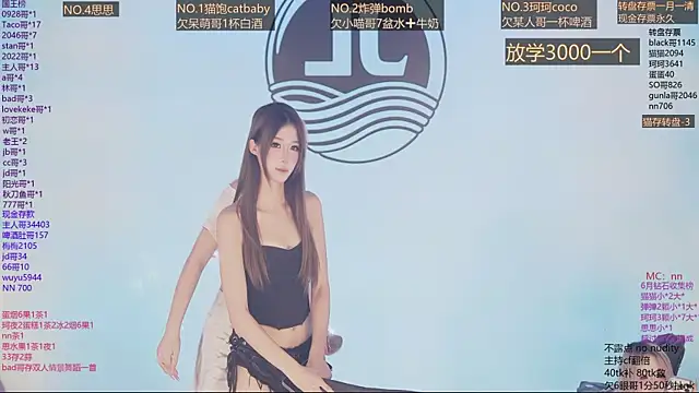 Sw-001 webcam