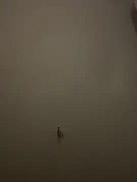 crisfootlicker webcam