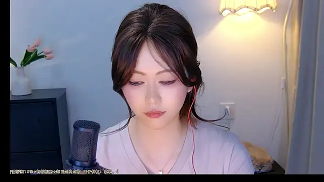 xiaomao-2026 webcam