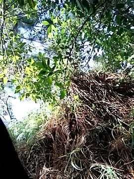 Bonnie_Clydeee webcam
