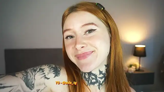 aidaha webcam