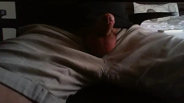 pasiuni webcam