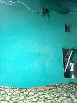 Babli_sharma live cam