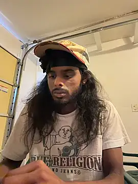 dingoding webcam