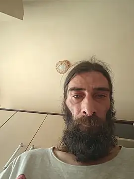 vulpe8400 webcam