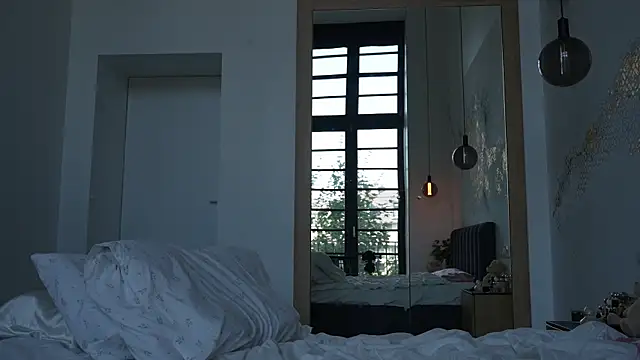 ibiddi webcam