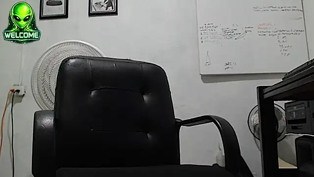 alpha_zom webcam