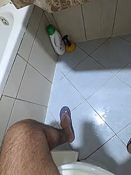 dream_catcher webcam
