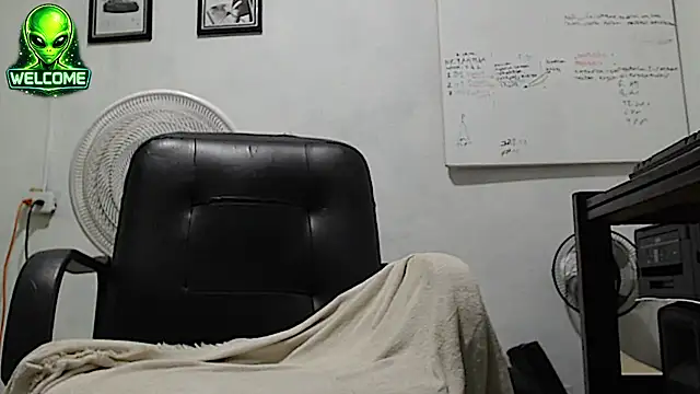 alpha_zom webcam
