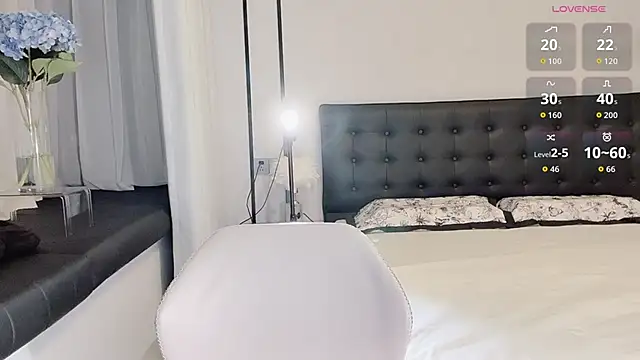 lvy-w webcam